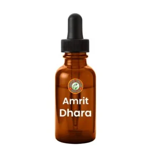 Amrit Dhara